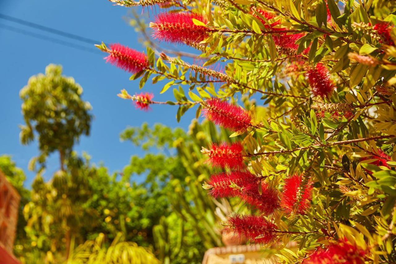 شقة ألورا  في Finca Fenix المظهر الخارجي الصورة